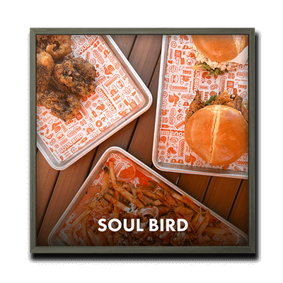 soul-bird-logo-with-frame